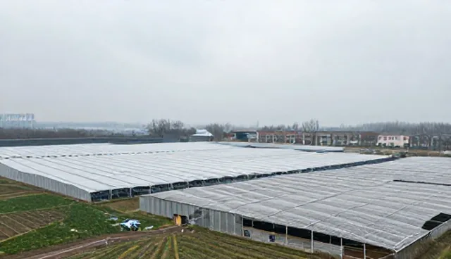 电商运营技术优化:全流程技术跟进的取舍与选型关注点